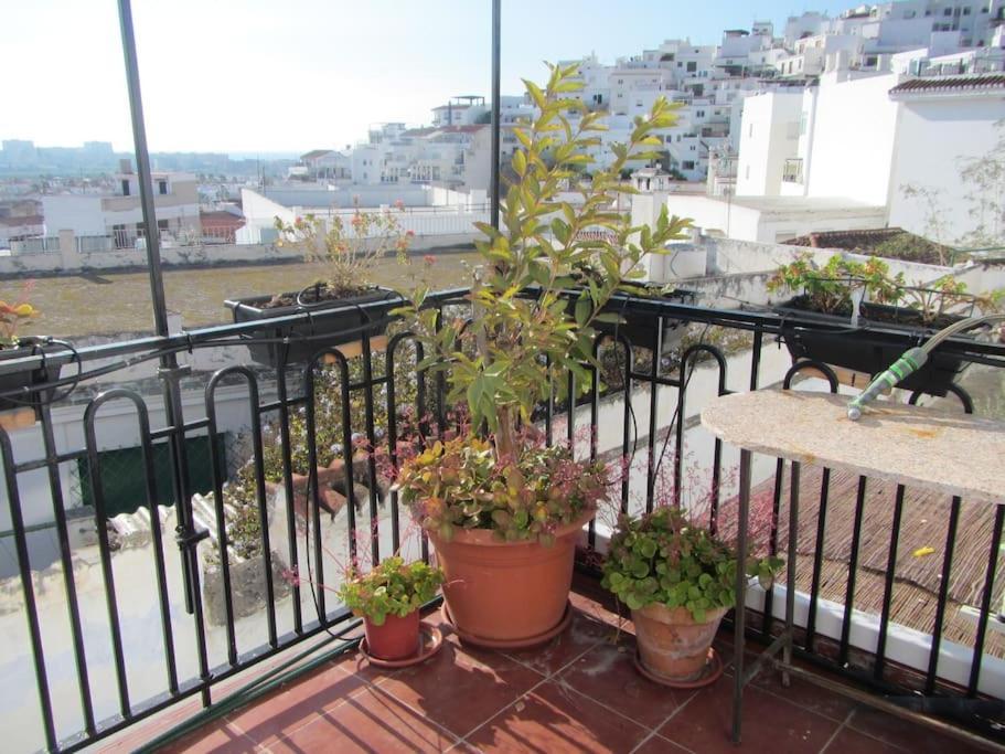 살로브레나 Amazing Sea And Mountain View! Casita Pinata 아파트 외부 사진