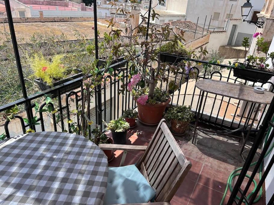 살로브레나 Amazing Sea And Mountain View! Casita Pinata 아파트 외부 사진